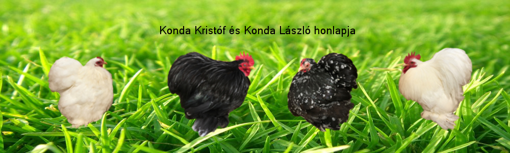 konda&konda-cochin